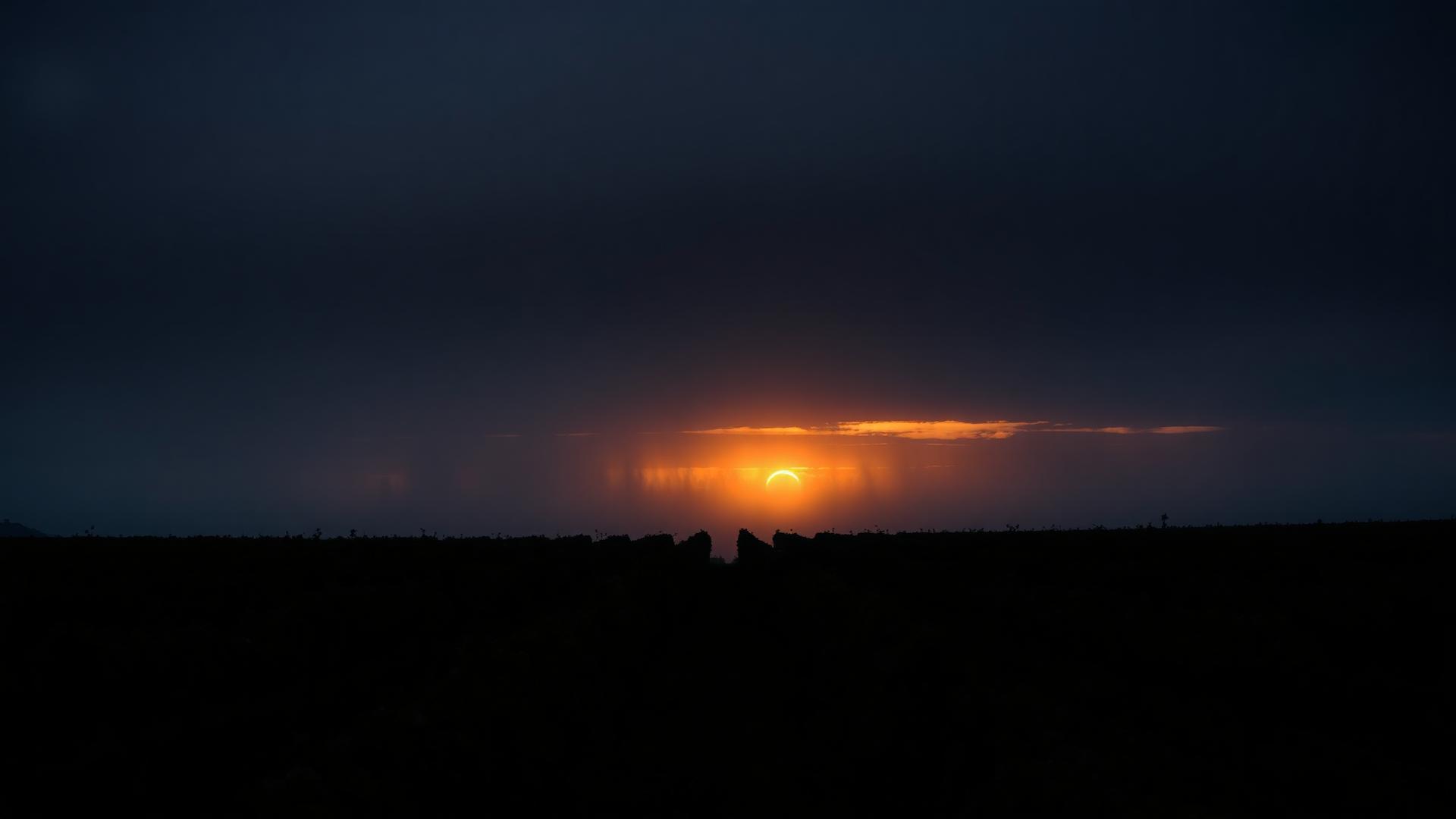 Wijngaard bij zonsondergang — beurs 2026